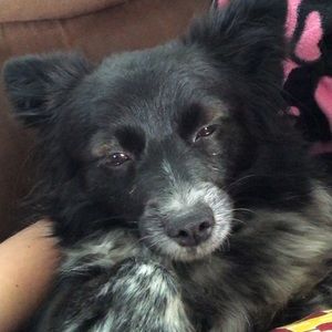 Meet your Posher, Taryn